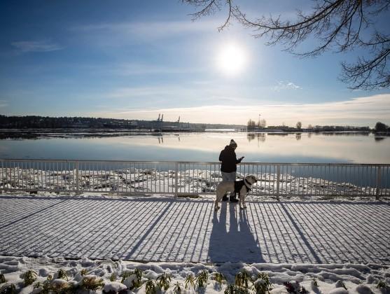 David Rosenberg: The outlook for Canada’s provinces? Head for the coasts